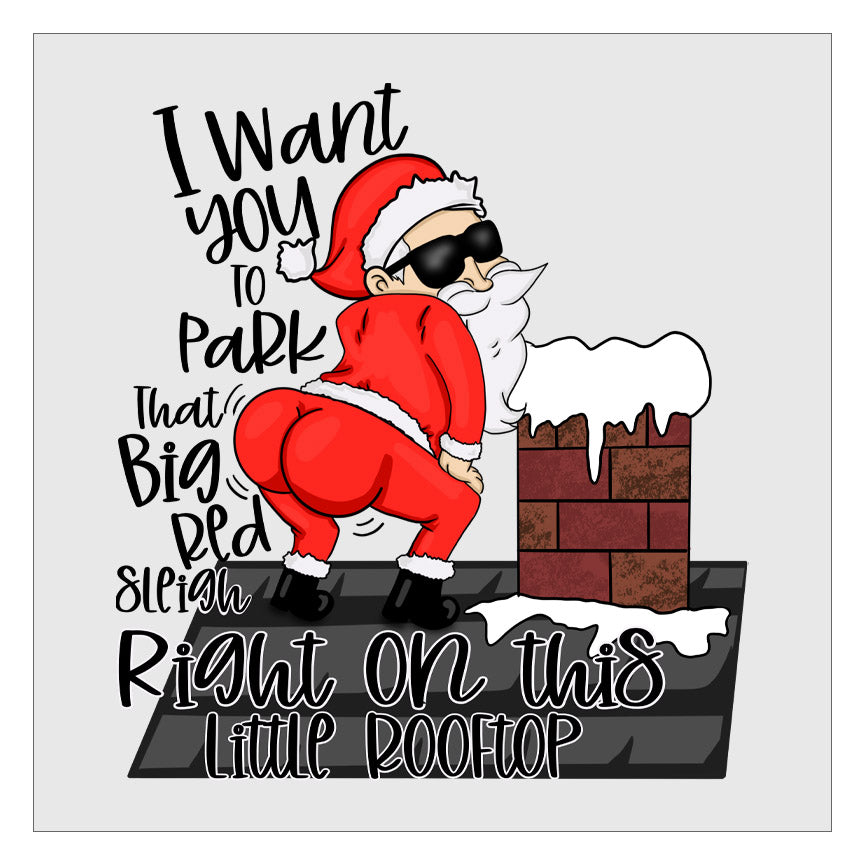 I Want You To Park That Big Red Sleigh Right On This Little Rooftop - White Santa DTF Transfer
