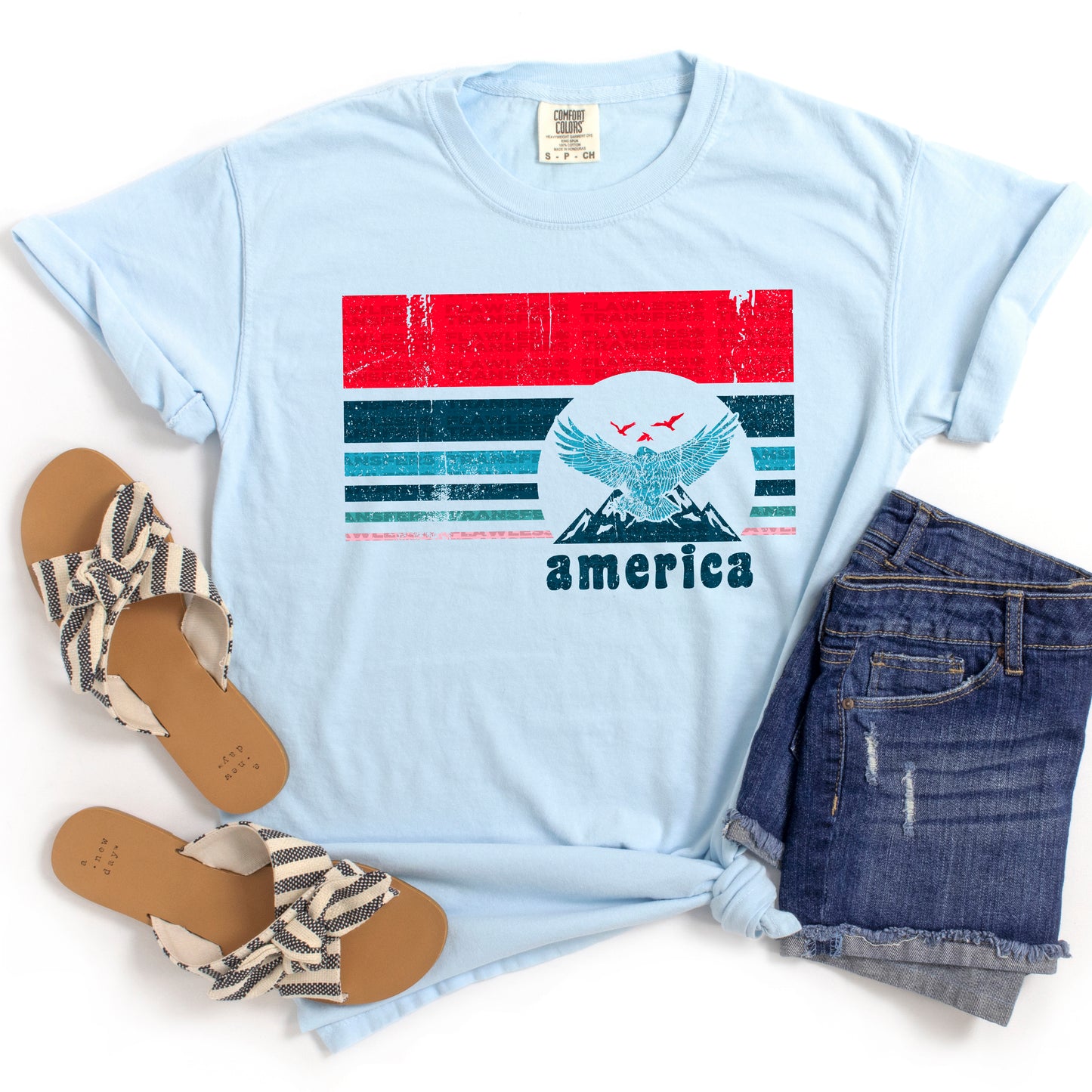 America Eagle Stripe #2115 DTF Transfer