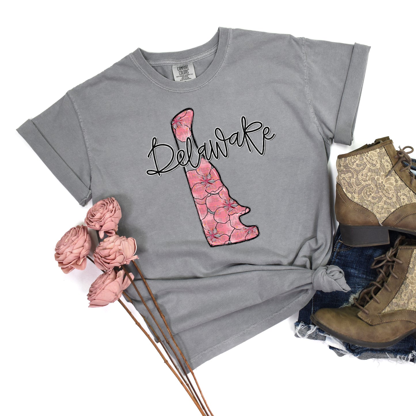 Delaware Whimsy States DTF Transfer