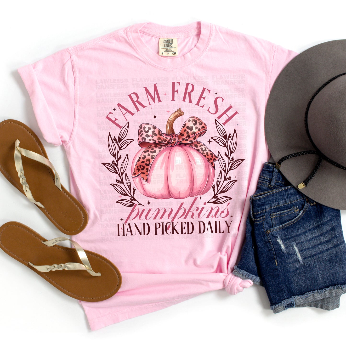 Farm Fresh Pumpkins Hand Picked Daily - Pink DTF Transfer