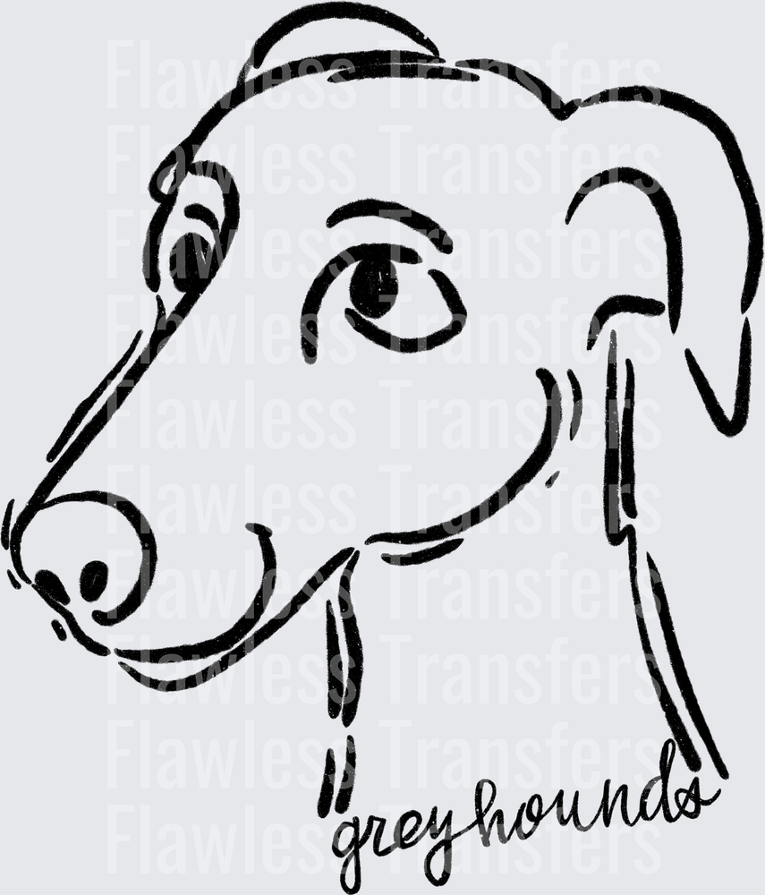 Greyhounds #2856