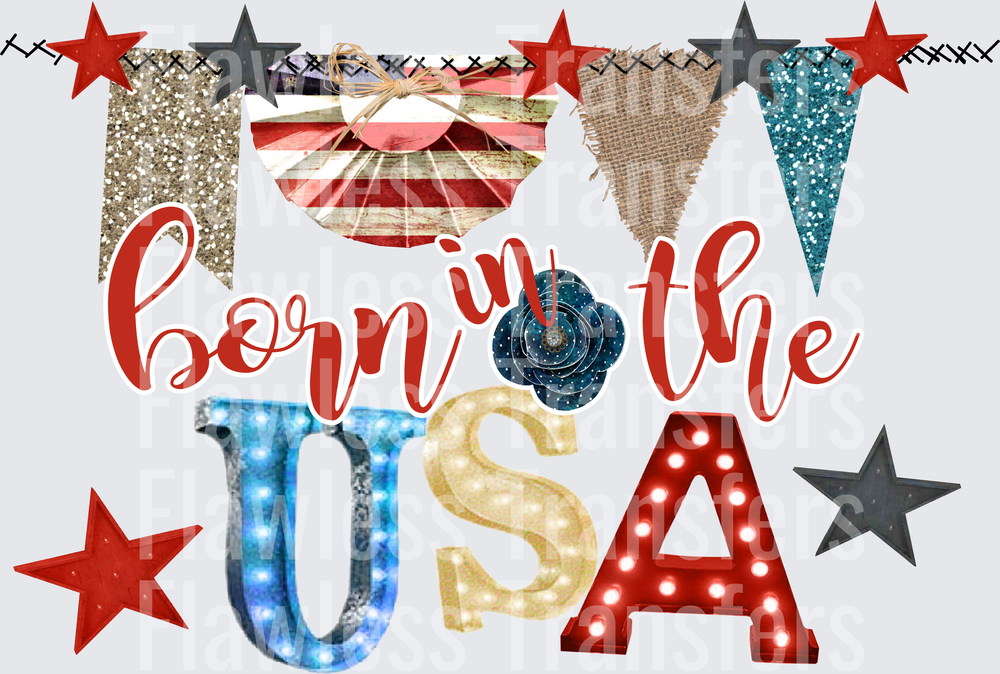 Born In The Usa #4072