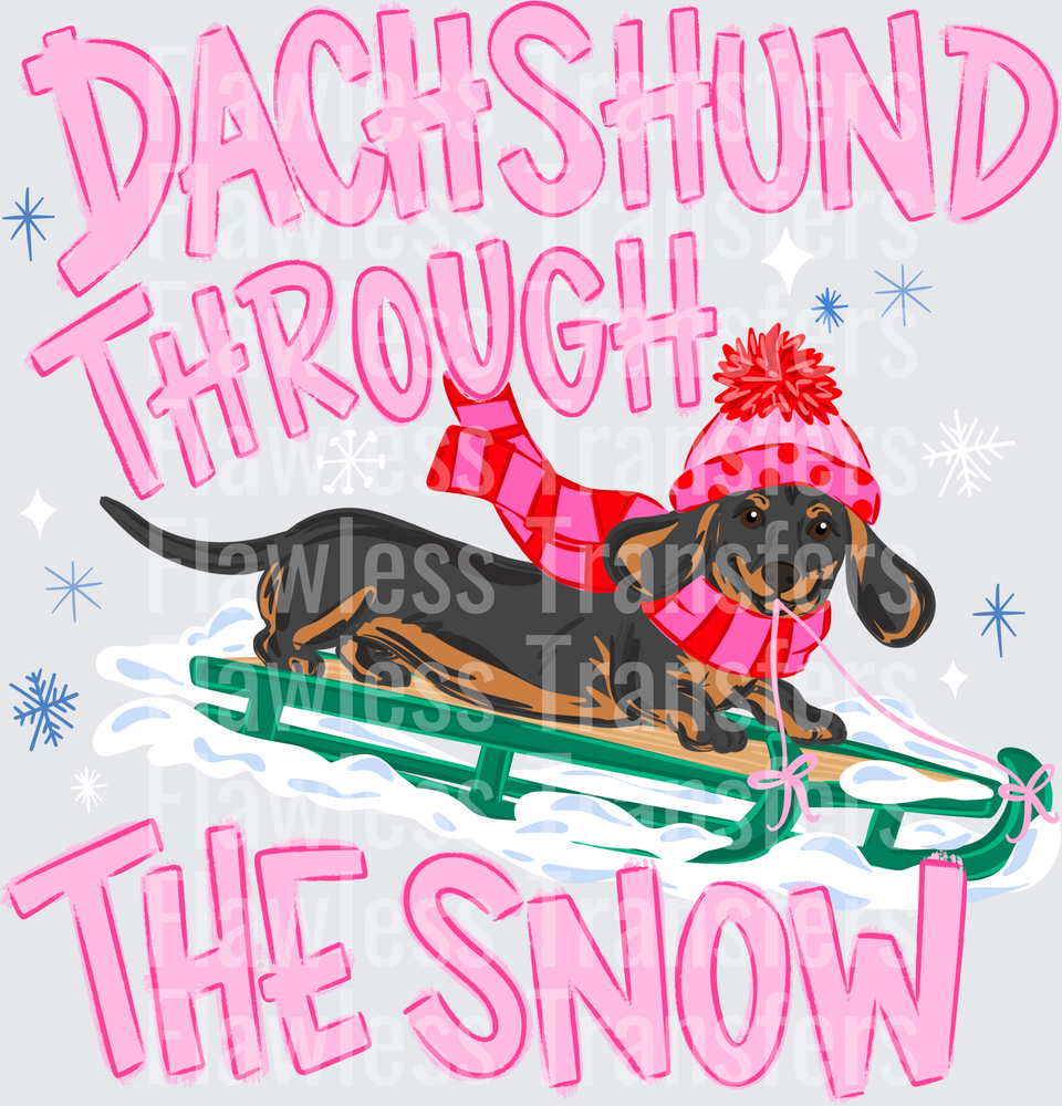 Dachshund Through The Snow #9758