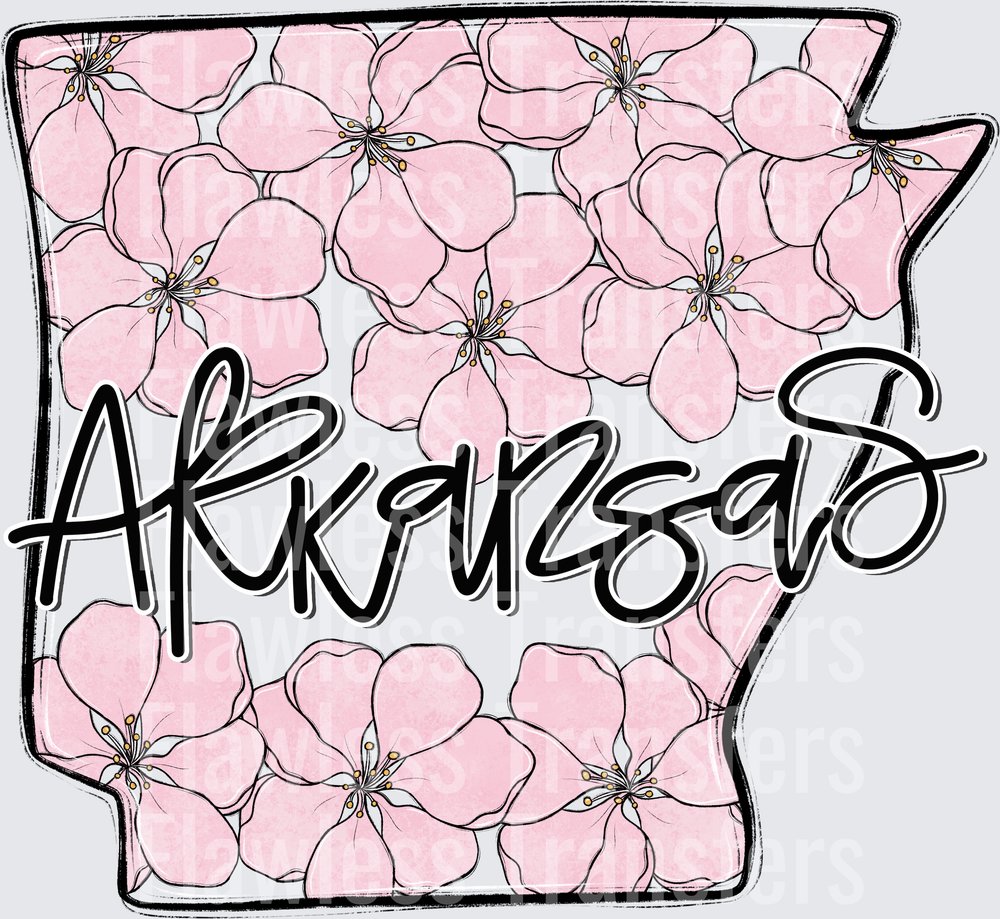 Arkansas Whimsy States #0921