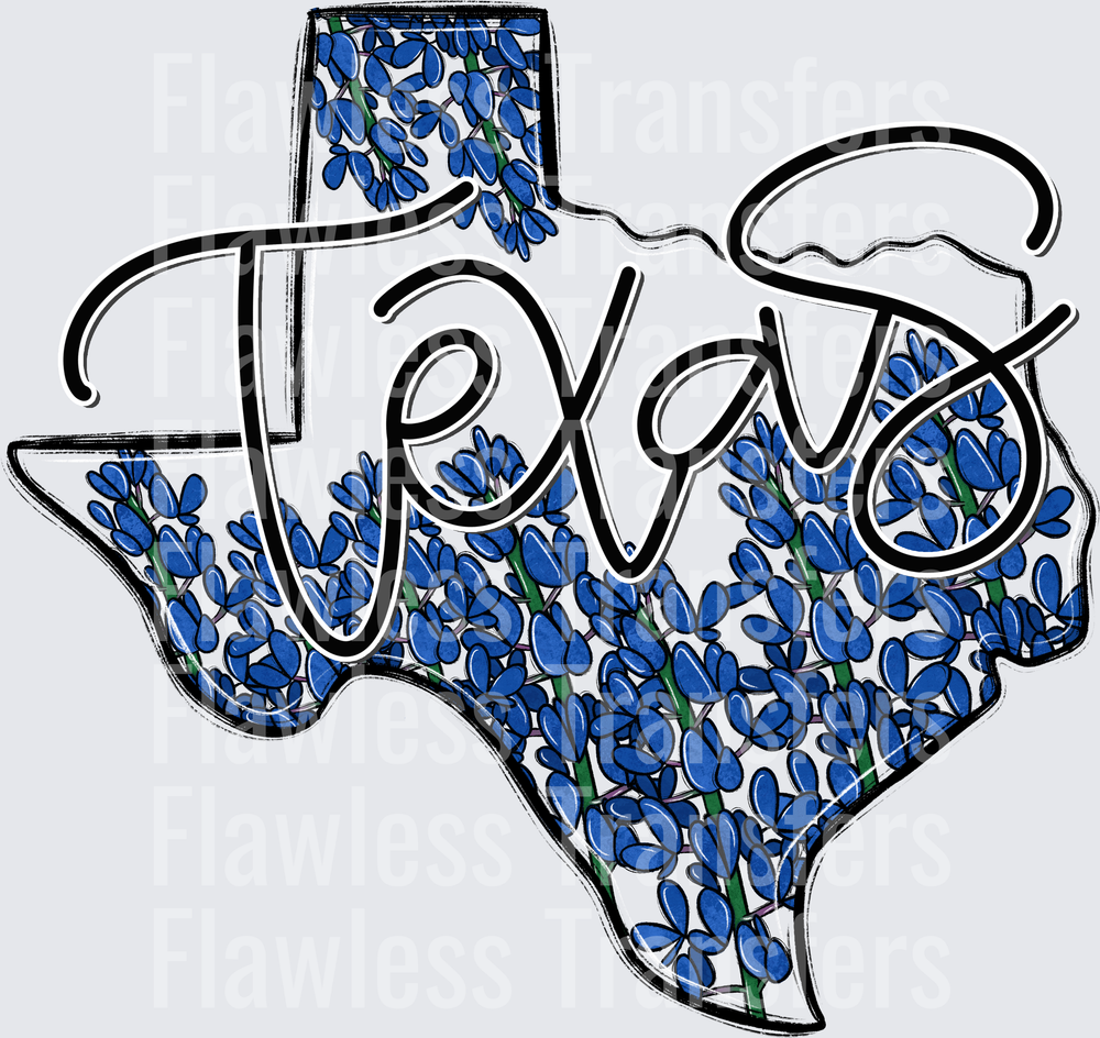 Texas Whimsy States #0925