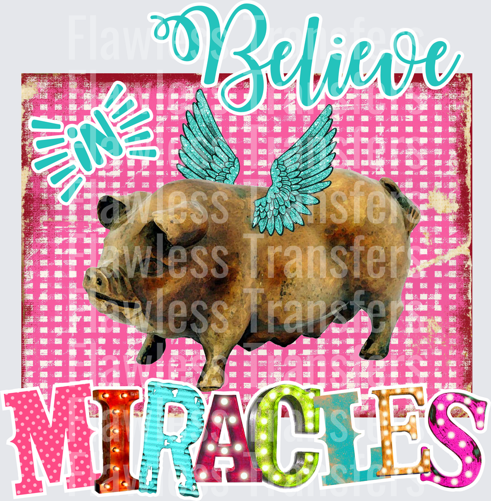 Believe In Miracles #5415