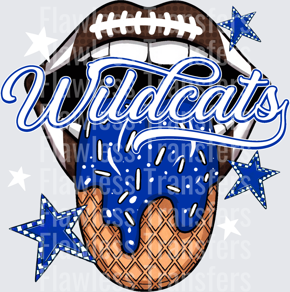 Wildcats #3054