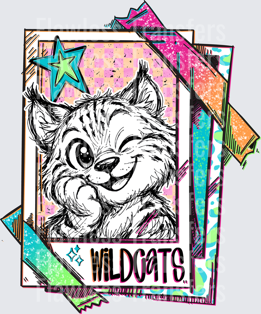 Wildcats #3154