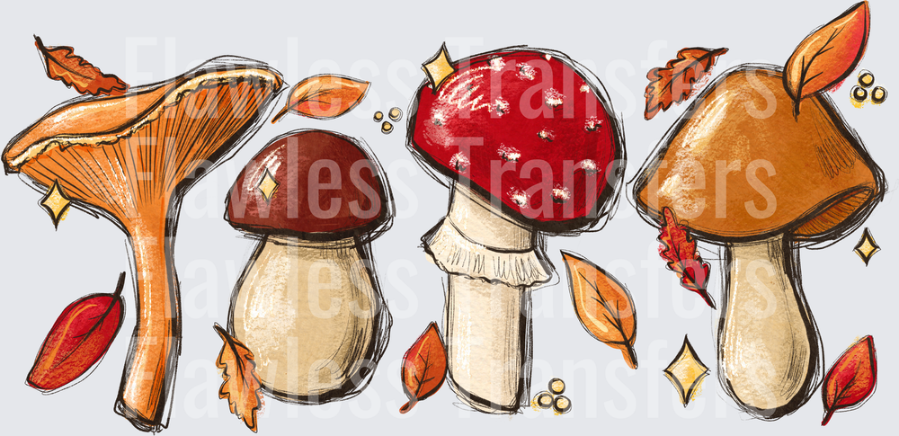 Fall Mushrooms #0032