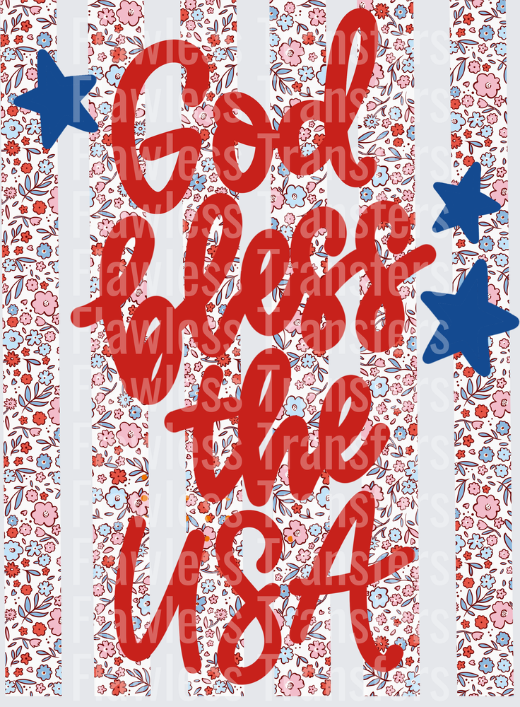 God Bless The USA #4049