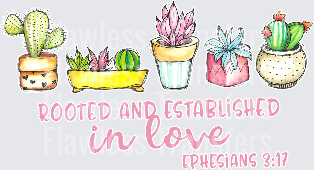 Rooted And Established In Love #5414