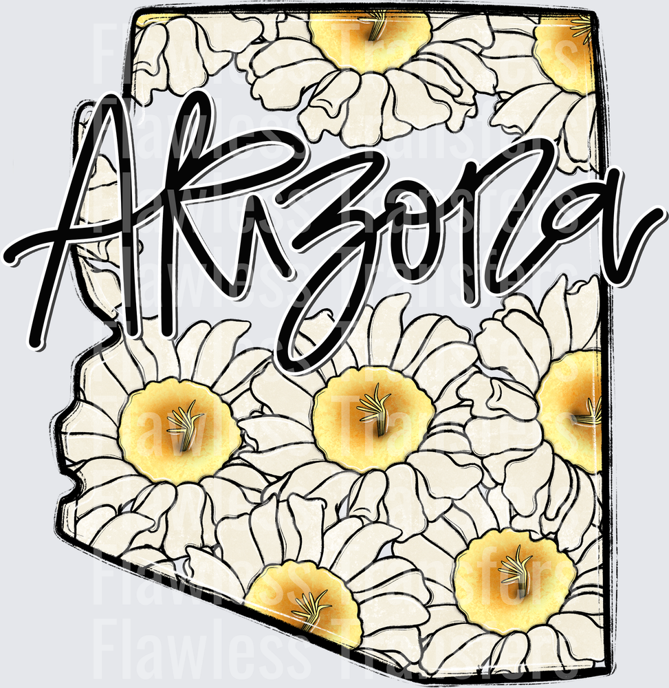 Arizona Whimsy States #0920