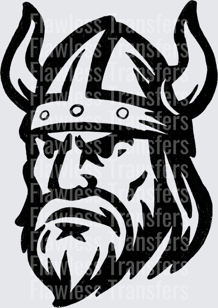 Viking #2678