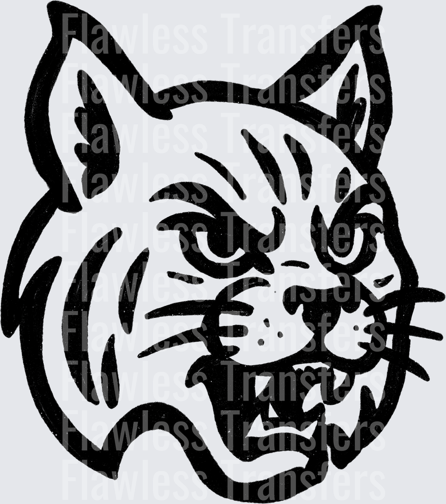 Wildcat #2681