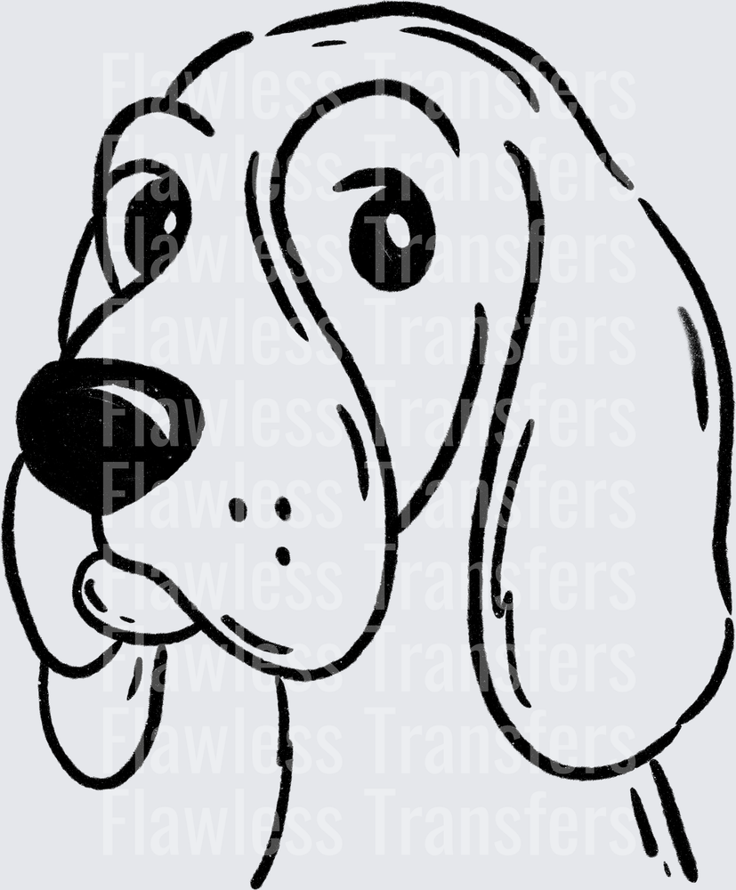 Coonhound #2834