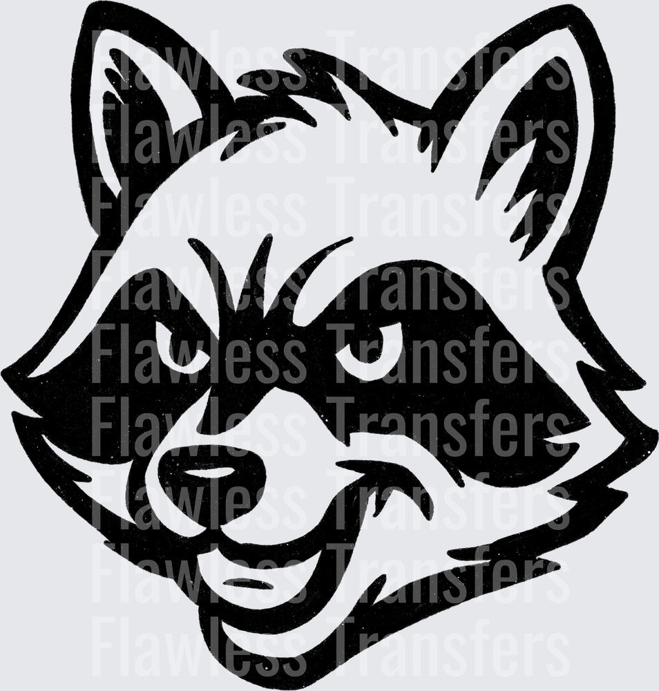Raccoon #2665