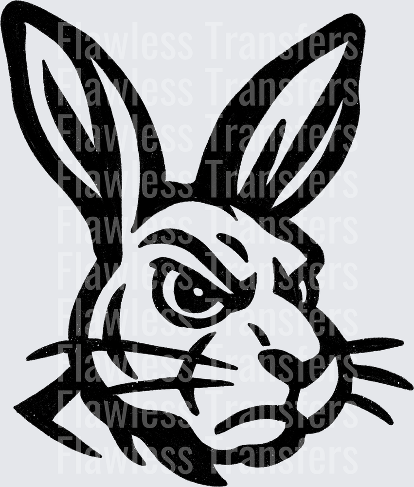 Jackrabbit #2654