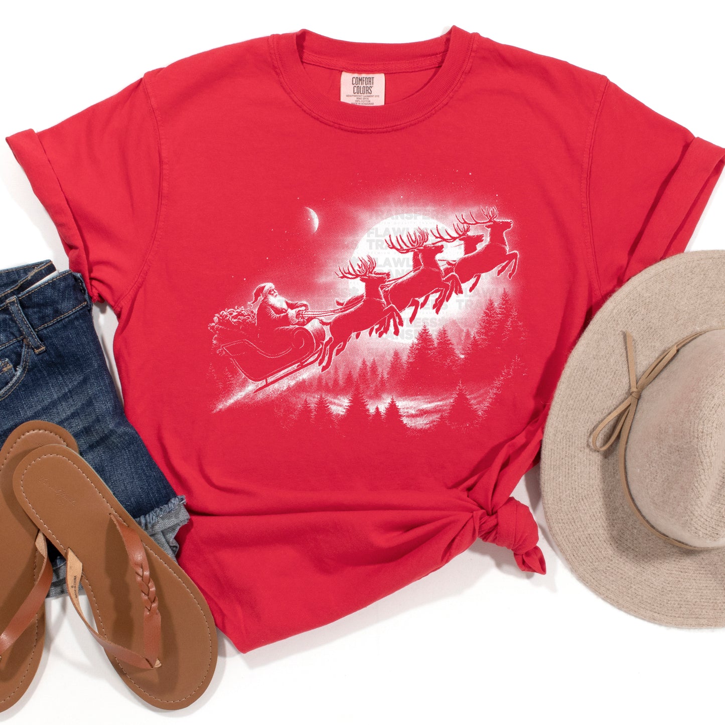 Vintage Santa Sleigh #2931 DTF Transfer