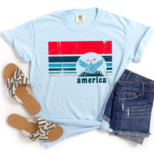 America Eagle Stripe #2115 DTF Transfer