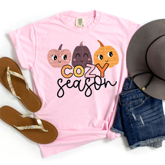 Cozy Season #2539 DTF Transfer