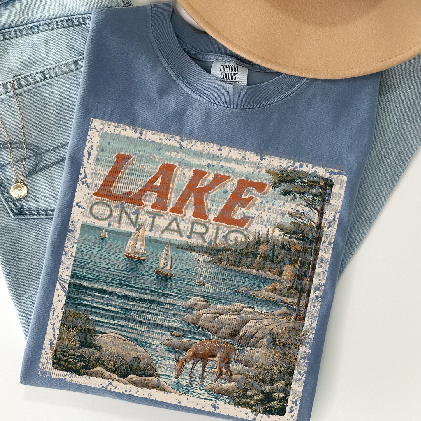 Lake Ontario Vintage Stamp DTF Transfer