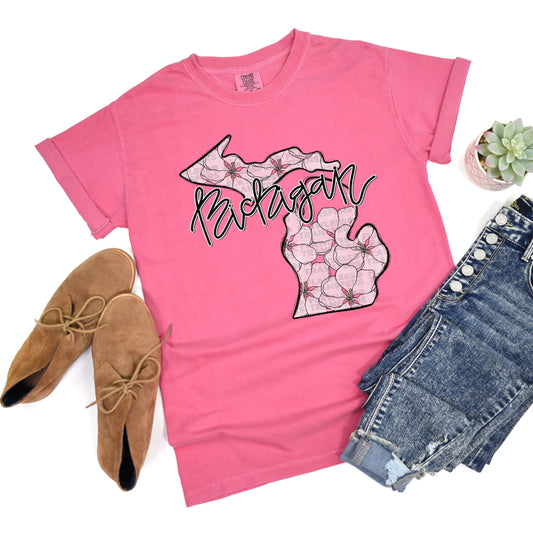 Michigan Whimsy States DTF Transfer