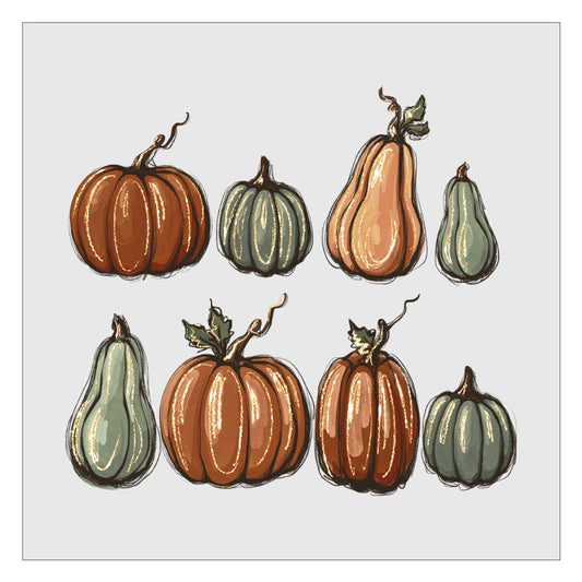Pumpkins And Gourds DTF Transfer