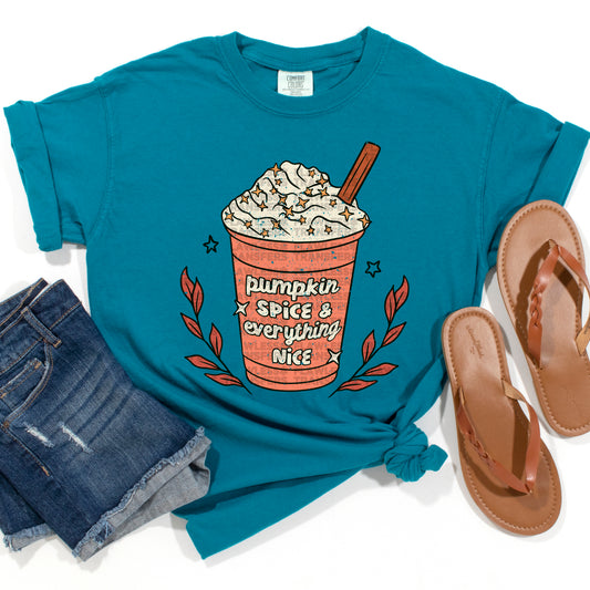 Pumpkin Spice And Everything Nice #2423 DTF Transfer