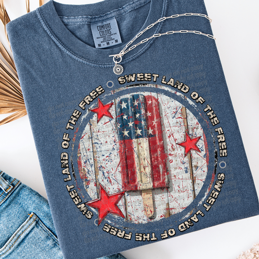 Sweet Land Of The Free #2090 DTF Transfer