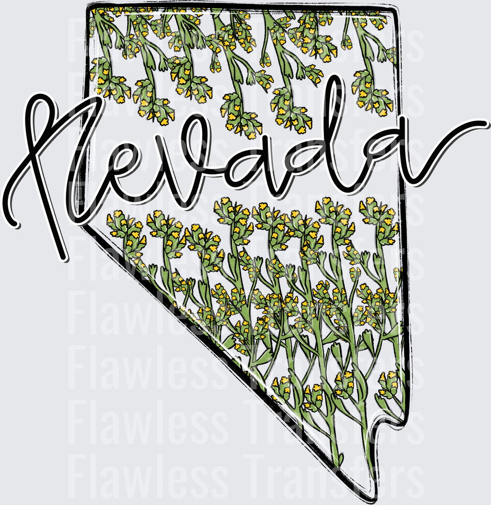 Nevada Whimsy States #0976