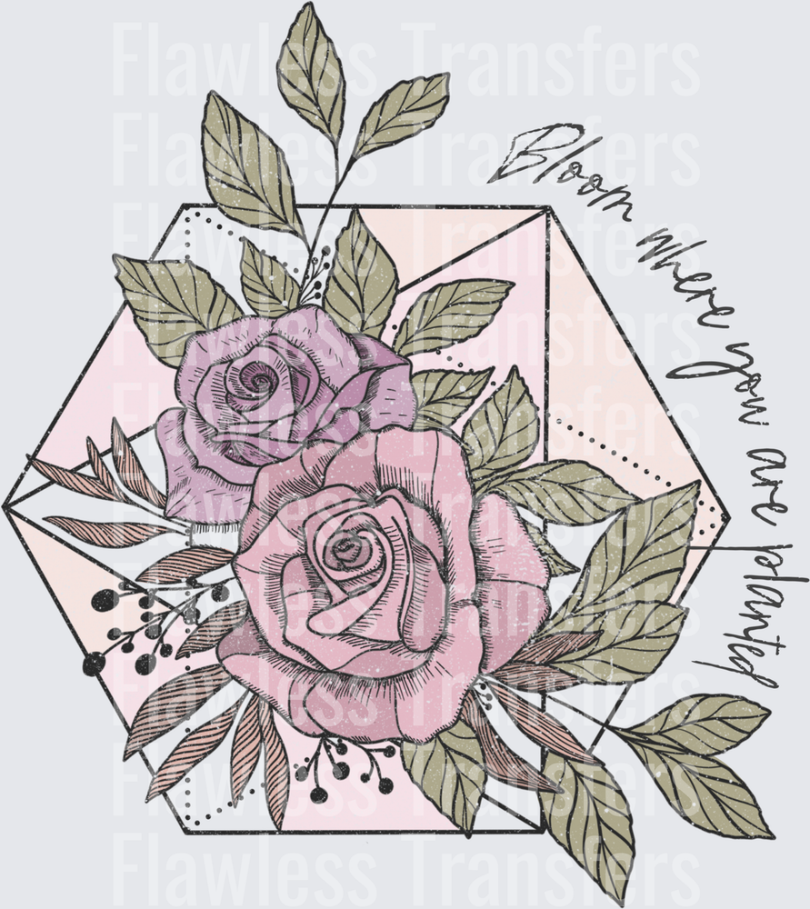 Bloom Where You Are Planted #4339