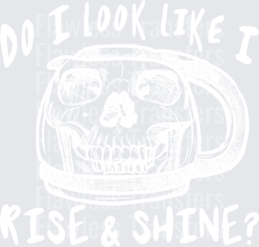 Do I Look Like I Rise And Shine #4869