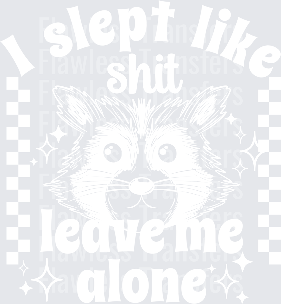 I Slept Like Shit Leave Me Alone Raccoon #5651