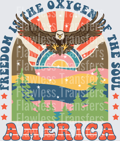 Freedom Is The Oxygen Of The Soul America #0039 DTF Transfer - Raw Image