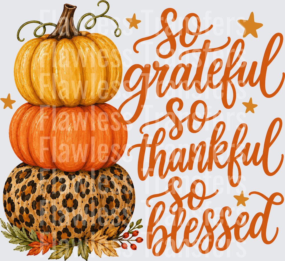 So Grateful So Thankful So Blessed #7644