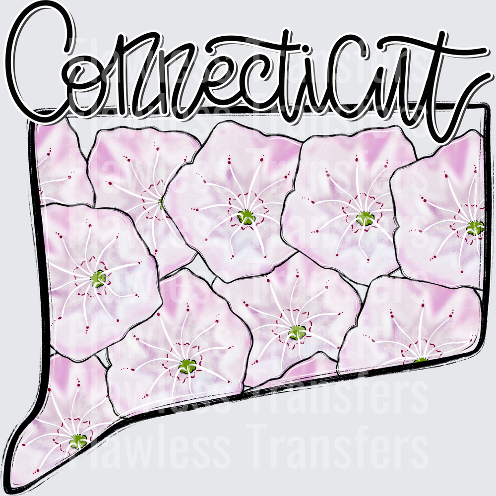 Connecticut Whimsy States #0943