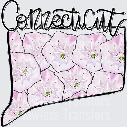 Connecticut Whimsy States #0943