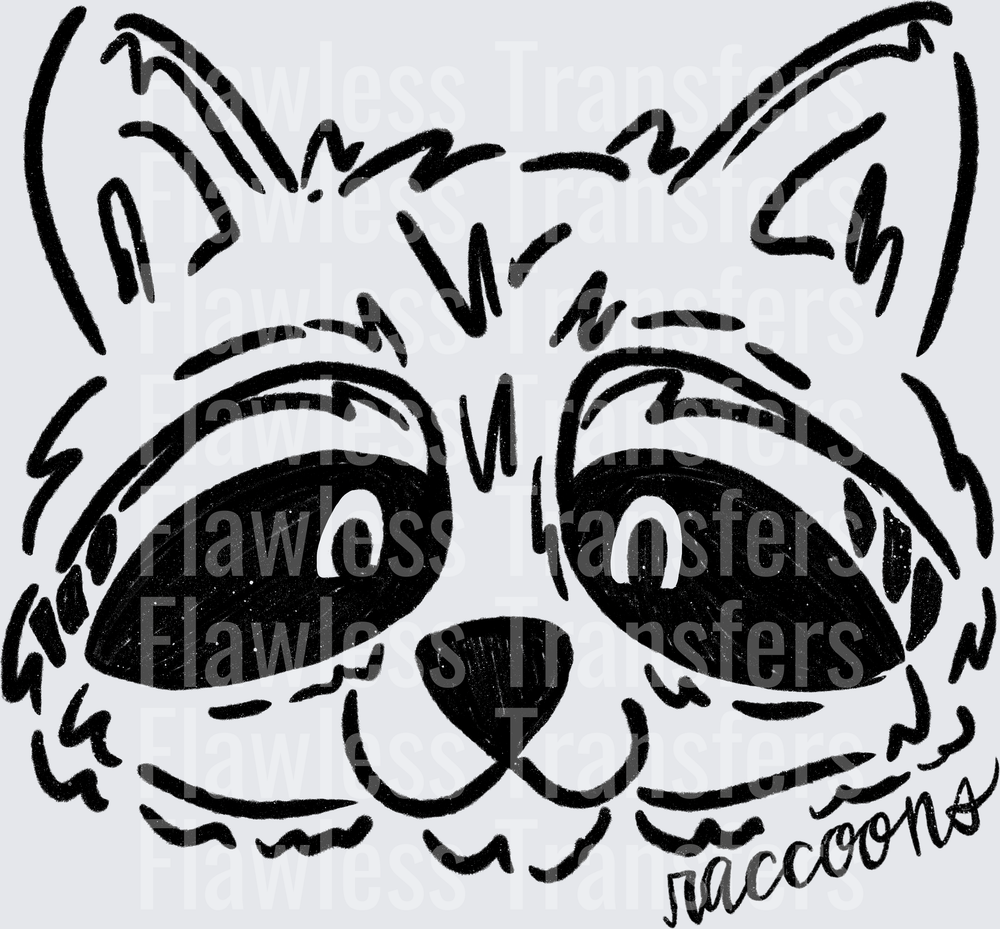 Raccoons #2894