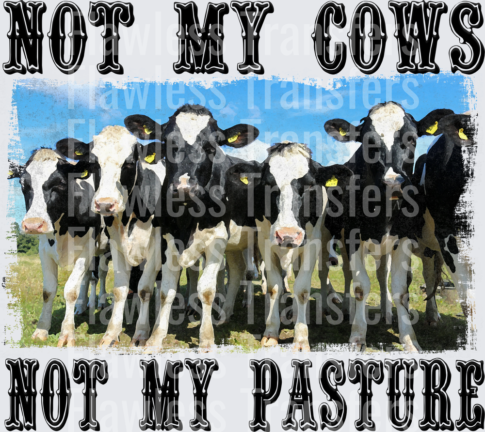 Not My Cows #4216
