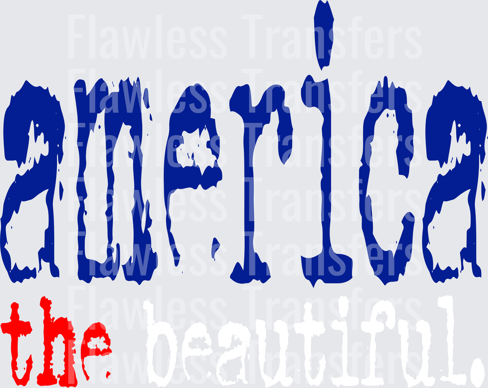 America The Beautiful #0025 DTF Transfer - Raw Image