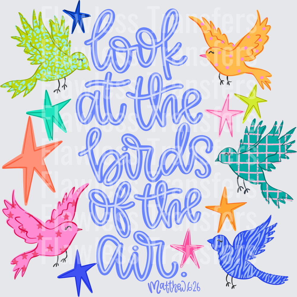 Look At The Birds Of The Air #5459