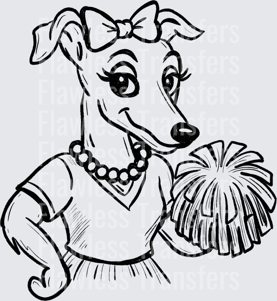 Whippet #2716