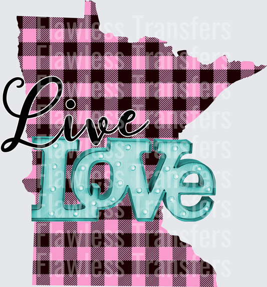 Live Love Minnesota #1247