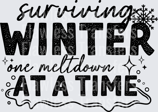 Surviving Winter One Meltdown At A Time #1641