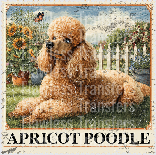 Apricot Poodle Vintage Stamp #4187
