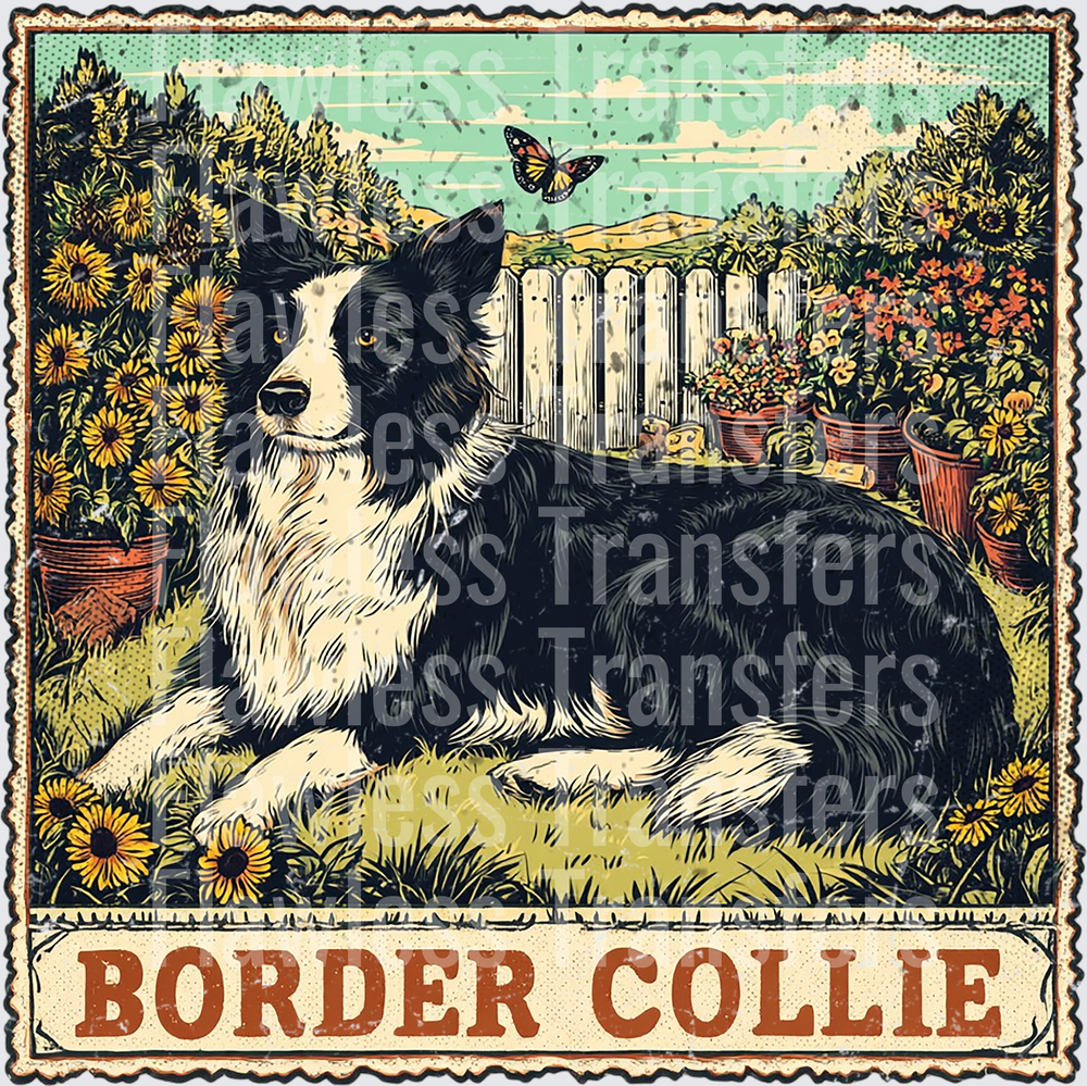 Border Collie Vintage Stamp #4191