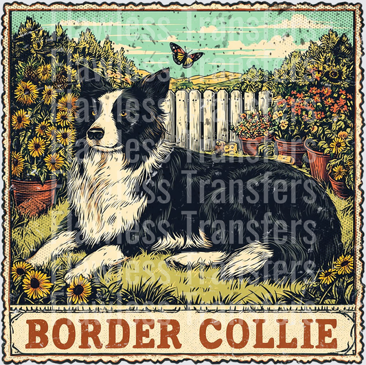 Border Collie Vintage Stamp #4191