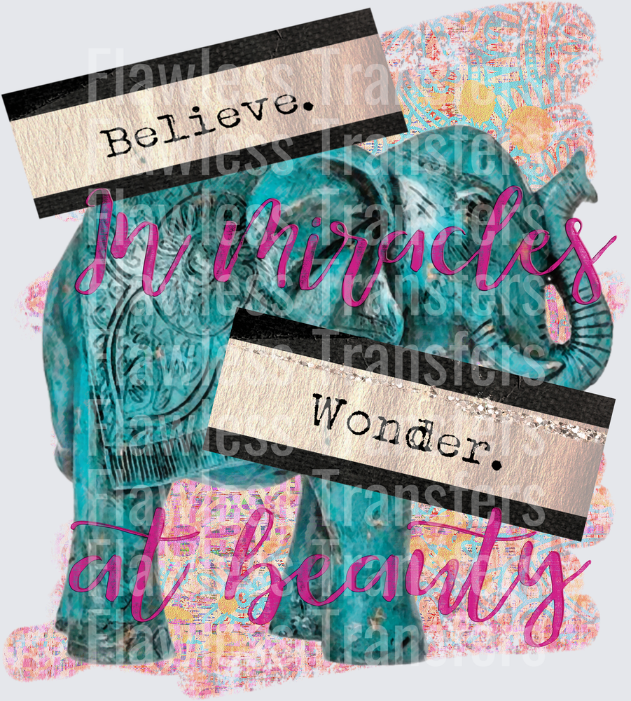 Believe Elephant #4454