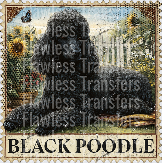 Black Poodle Vintage Stamp #4190