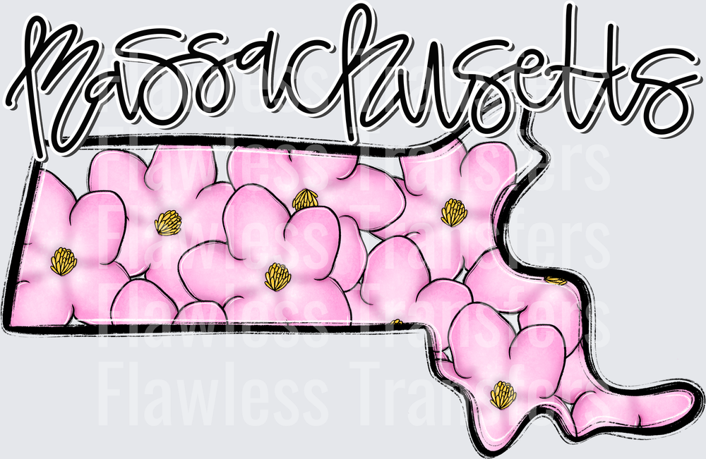 Massachusetts Whimsy States #0908
